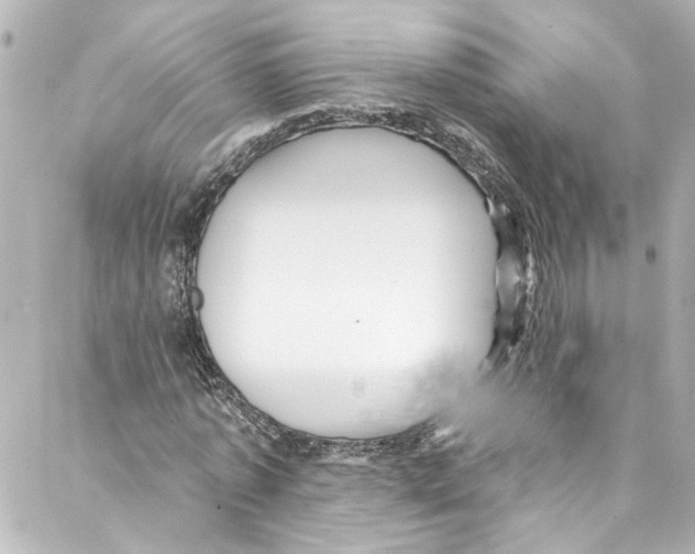 X0000087030773200705141921