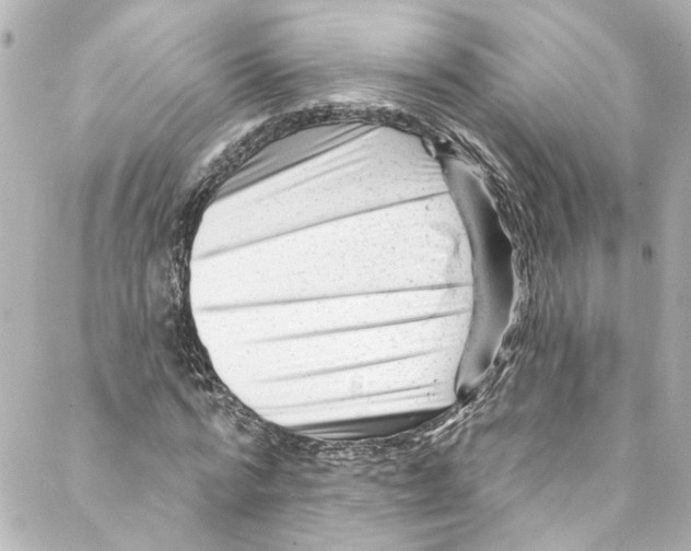 X0000087030776200705141921