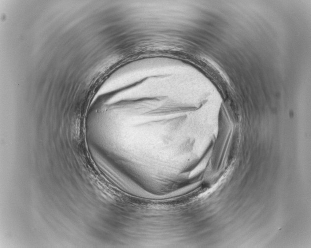 X0000087030777200705141921