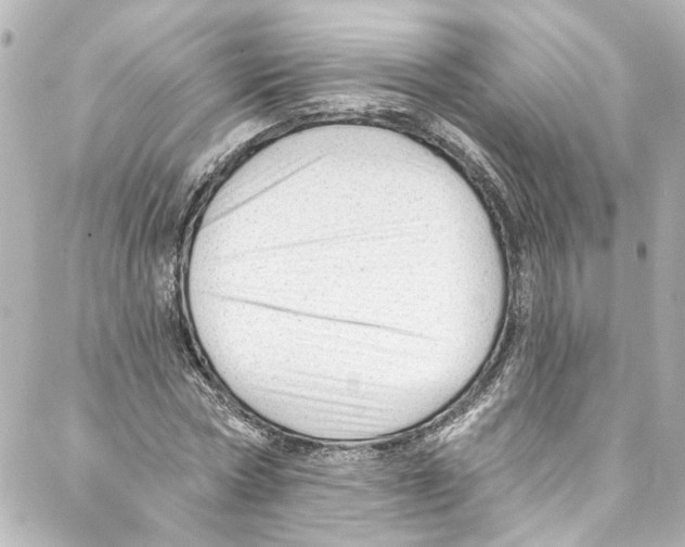 X0000087030778200705141921