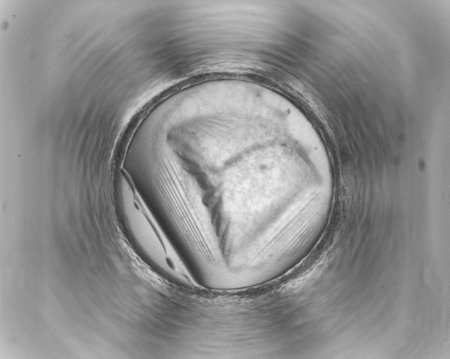 X0000087030779200705141921