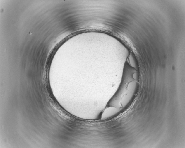 X0000087030780200705141921