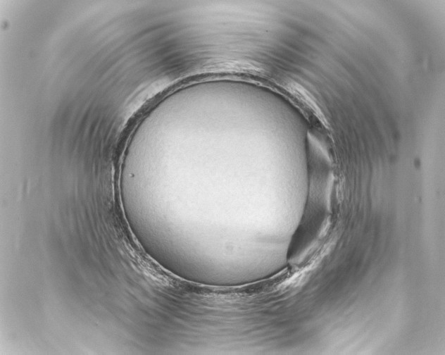 X0000087030781200705141921