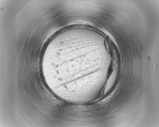 X0000087030783200705141921