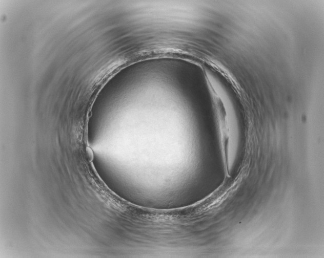 X0000087030785200705141921