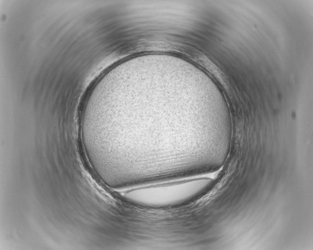 X0000087030787200705141921