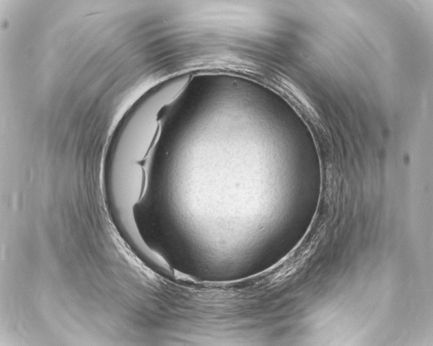 X0000087030788200705141921