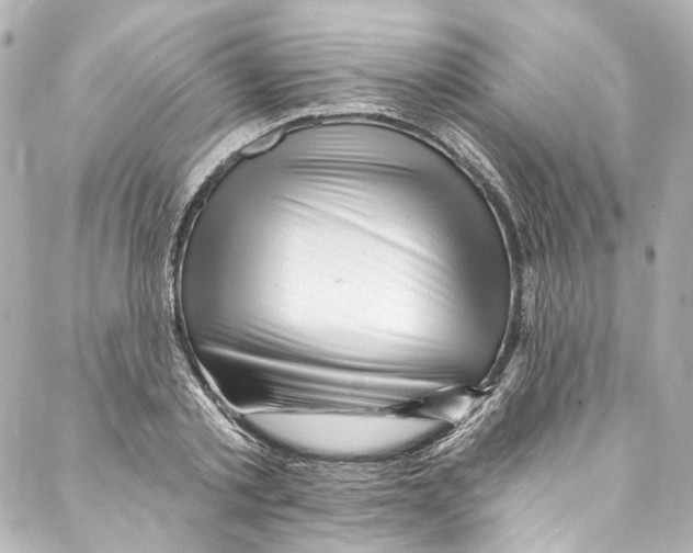 X0000087030789200705141921