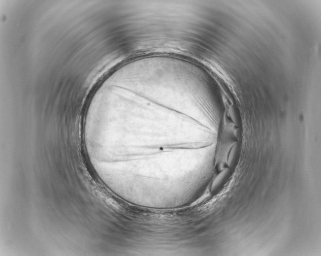 X0000087030790200705141921