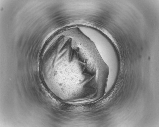 X0000087030791200705141921