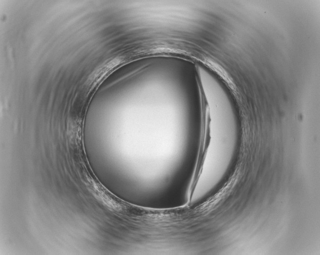 X0000087030793200705141921