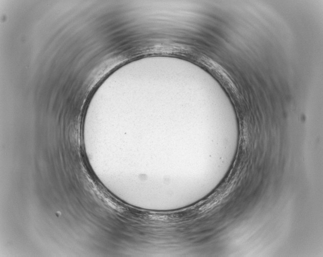 X0000087030794200705141921