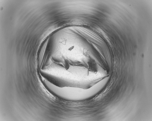 X0000087030795200705141921