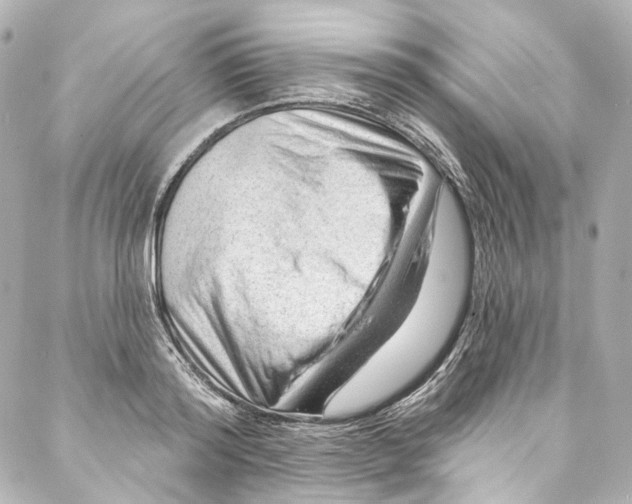 X0000087030796200705141921