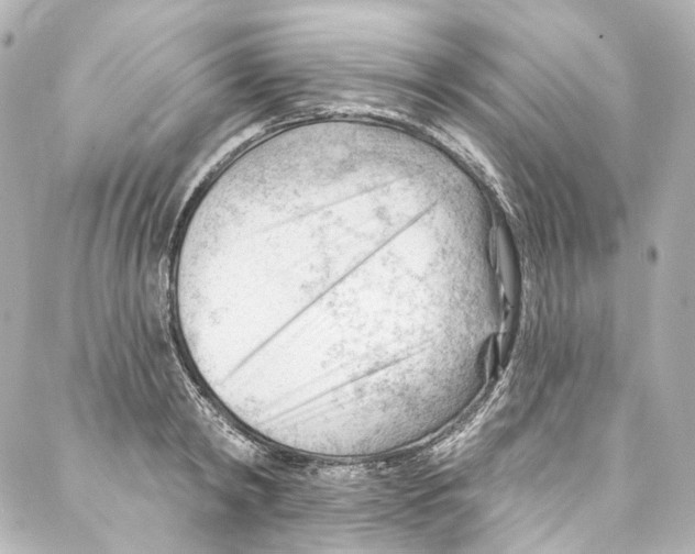 X0000087030798200705141921