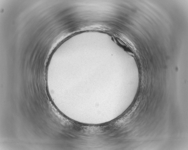 X0000087030800200705141921