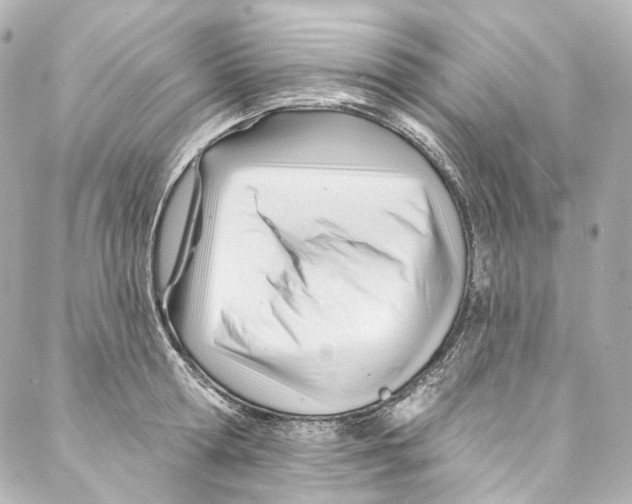 X0000087030802200705141921