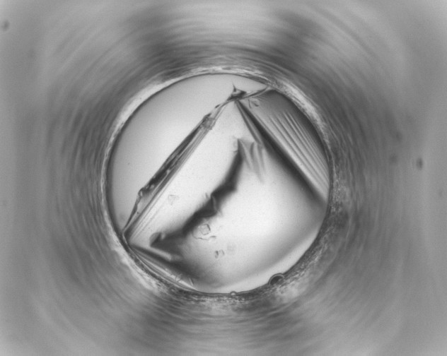 X0000087030803200705141921