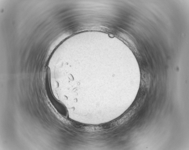 X0000087030804200705141920