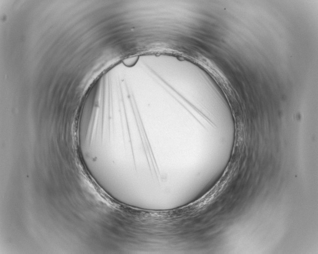 X0000087030806200705141920