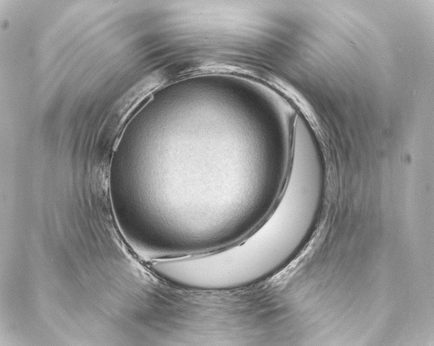 X0000087030809200705141920