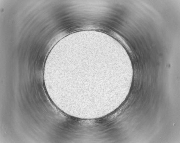 X0000087030810200705141920