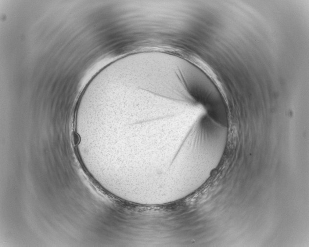 X0000087030811200705141920