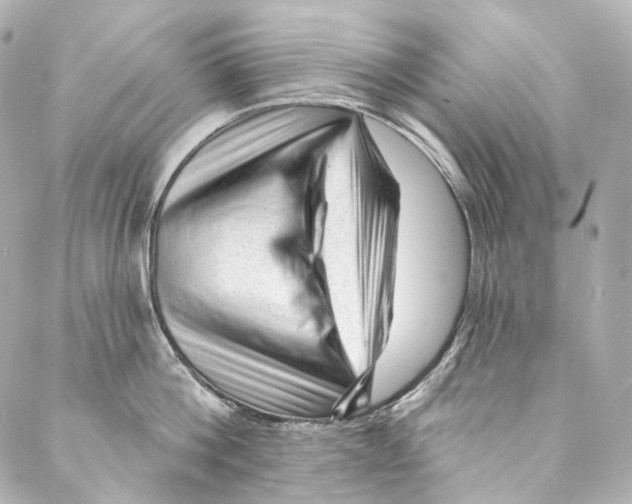 X0000087030812200705141920