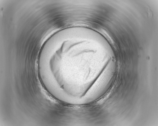 X0000087030814200705141920