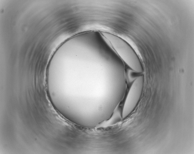 X0000087030815200705141920