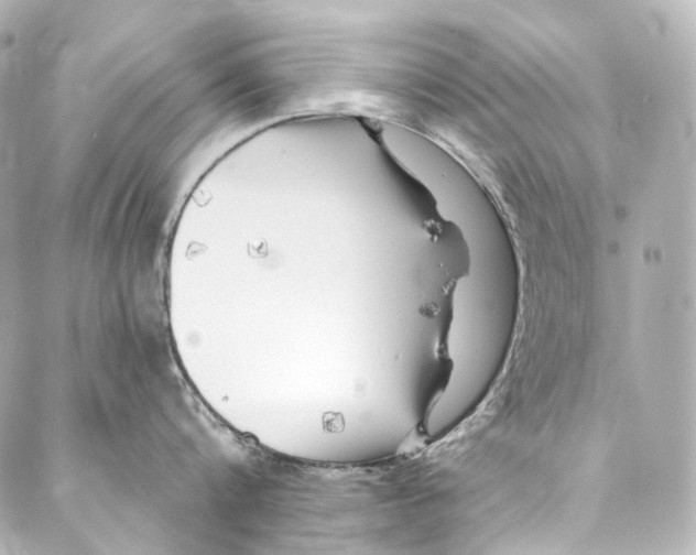 X0000087030816200705141920