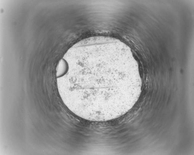 X0000087030817200705141920