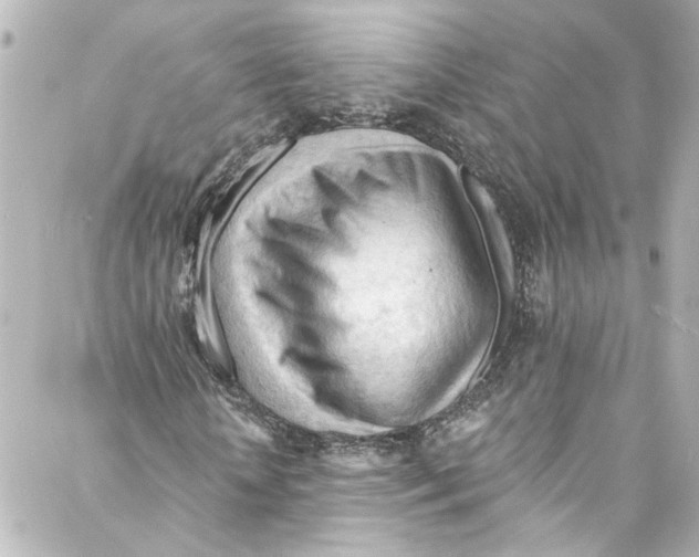 X0000087030818200705141920