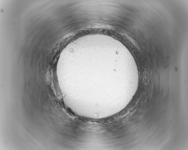 X0000087030821200705141920