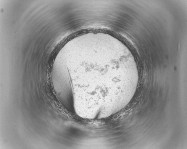 X0000087030823200705141920