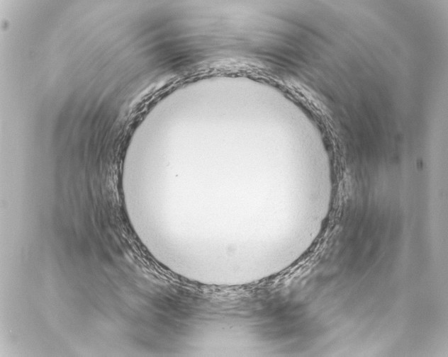 X0000087030824200705141920