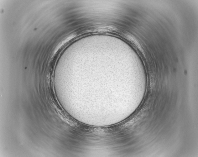 X0000087030827200705141920