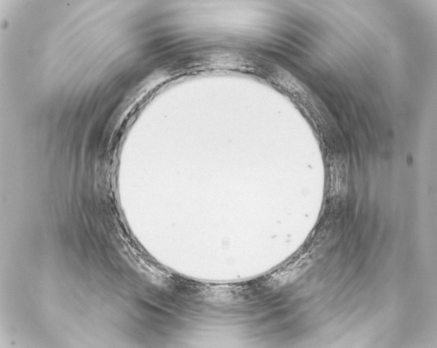 X0000087030828200705141920