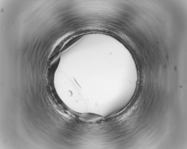 X0000087030830200705141920