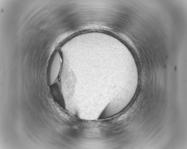 X0000087030831200705141920