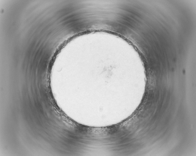 X0000087030832200705141920