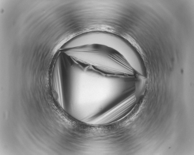 X0000087030834200705141920