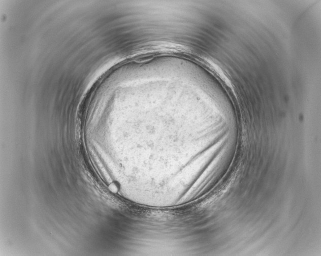 X0000087030835200705141920