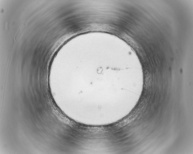 X0000087030836200705141920