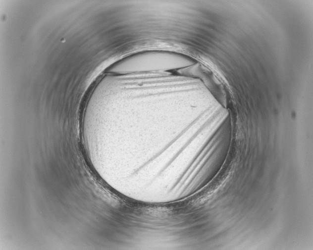 X0000087030837200705141920