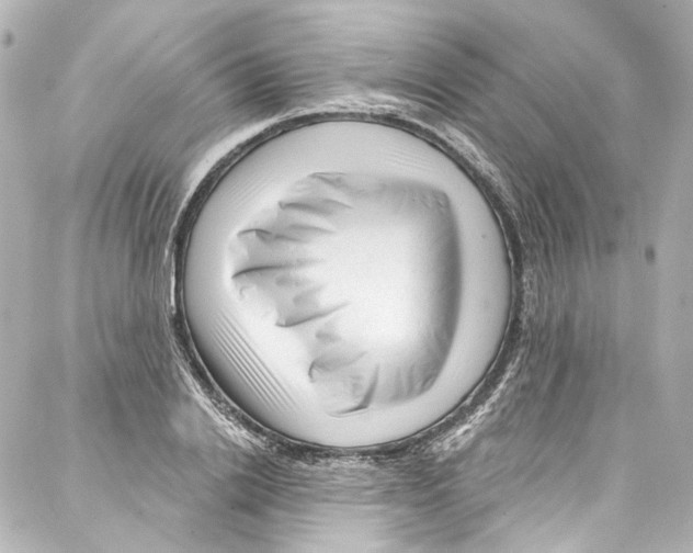 X0000087030838200705141920