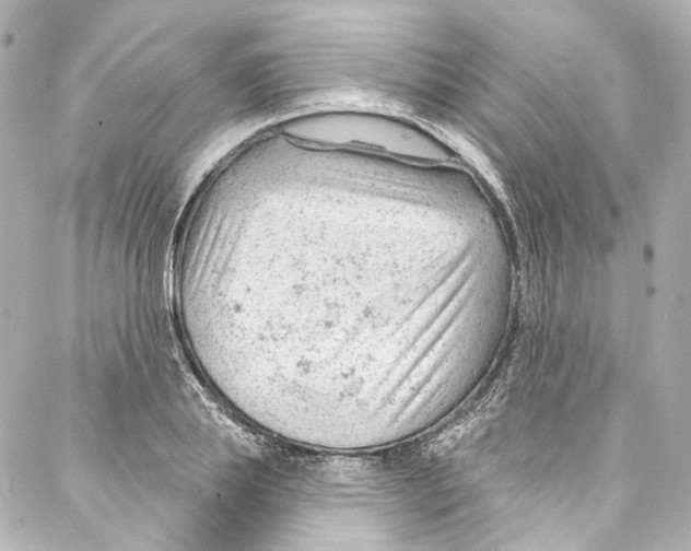 X0000087030839200705141920