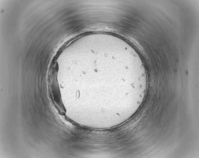 X0000087030840200705141920