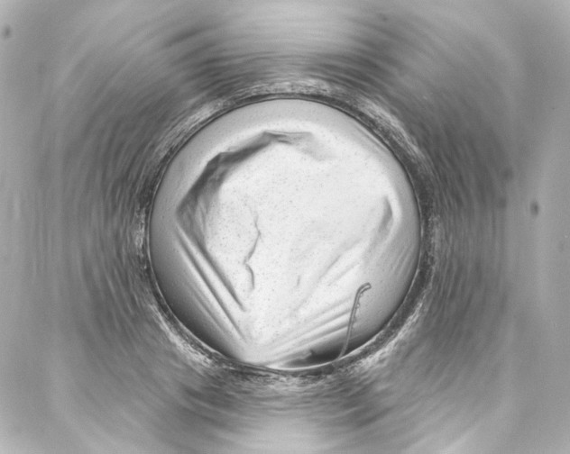 X0000087030841200705141920