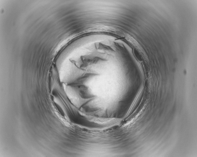 X0000087030842200705141920